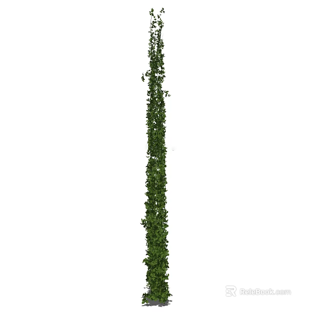 Tall Vertical Green Vine with Lush Leaves for Garden Decoration 3d model 