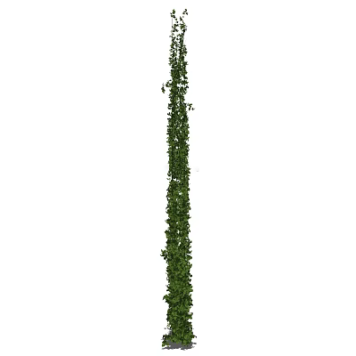 Tall Vertical Green Vine with Lush Leaves for Garden Decoration 3d model