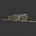 Natural Wood and Stone Material Display with Moss Covered Surface and Grass Surroundings