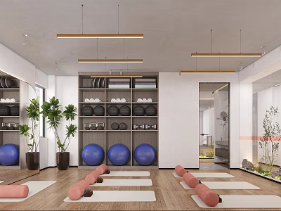 Modern Indoor Gym With Yoga Mats Foam Rollers And Fitness Equipment 3d model