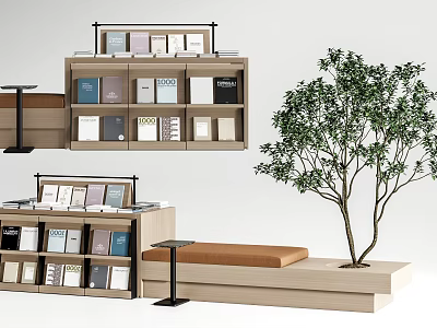 Modern Wooden Bookcase With Books And Bench In Cozy Reading Space 3d model