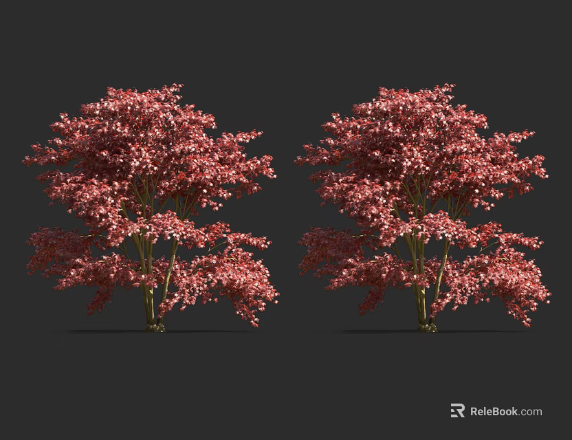Two Lush Arbor Trees With Vibrant Pink Blooming Flowers On Dark Background 3d model 