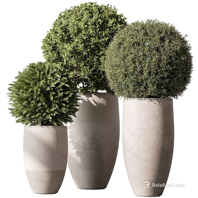 Decorative Bonsai Potted Plants With Green Foliage In Round Stone Planters For Indoor Use 3d model 
