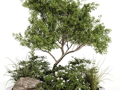 Lush Arbor With Green Foliage Stone And White Flowers In Garden 3d model