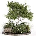 Lush Arbor With Green Foliage Stone And White Flowers In Garden