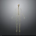 Anatomical Human Organ And Hair Structure Detailed 3D Medical Model