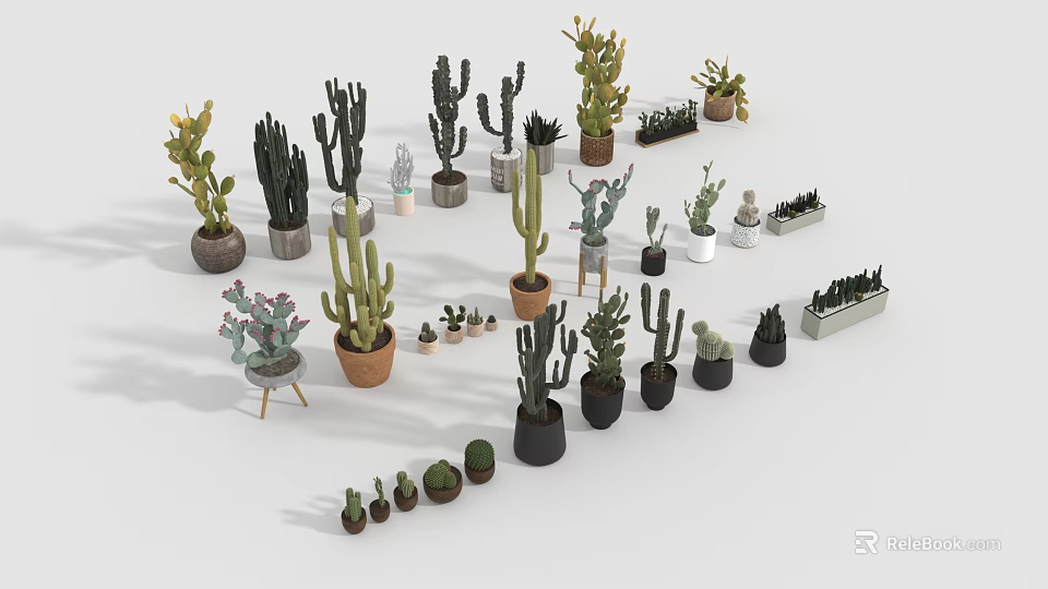 Various Succulent Plant Varieties In Decorative Pots For Indoor Home Decor 3d model 