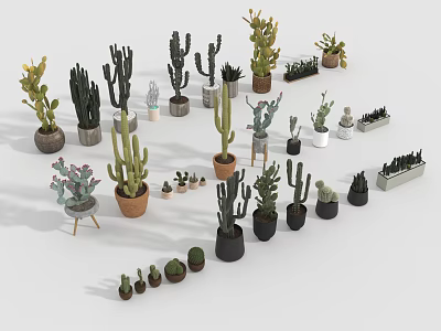 Various Succulent Plant Varieties In Decorative Pots For Indoor Home Decor 3d model