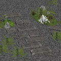 Natural Garden Stepping Stones with Irregular Slabs in Gray Gravel and Green Ferns