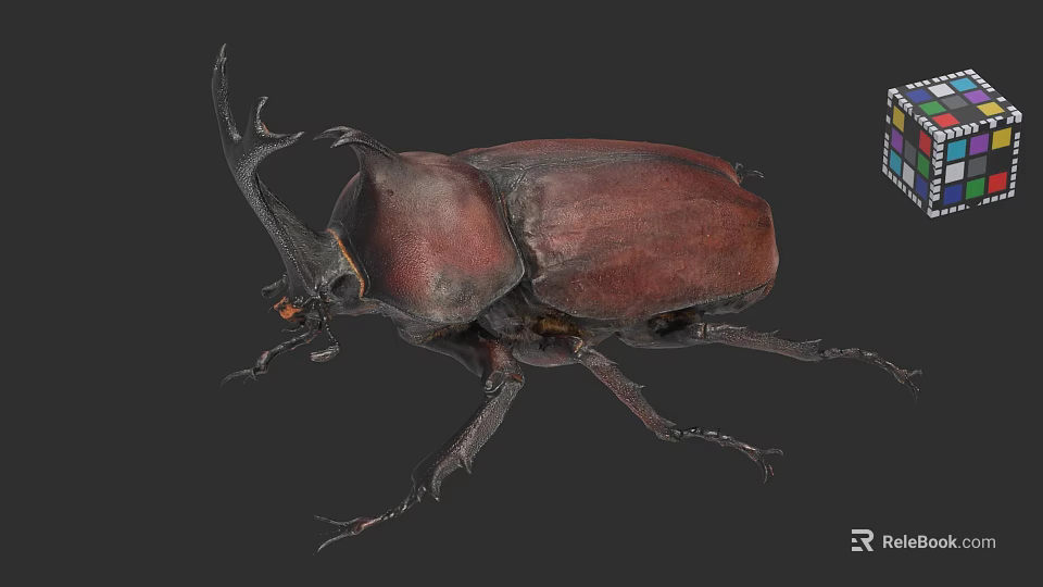 Detailed 3D Model of Large Horned Beetle with Brown Exoskeleton and Antennae 3d model 