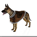 German Shepherd Dog Standing Wearing Brown Vest With White Trim On White Background