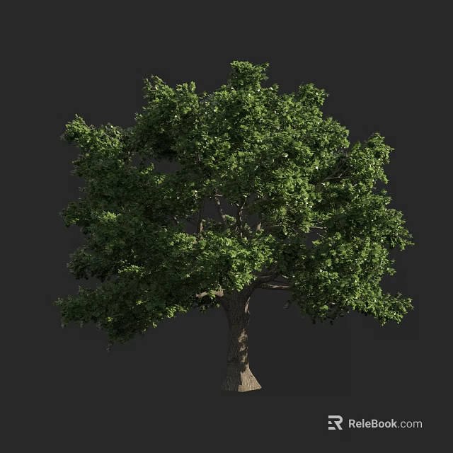 Lush Green Arbor with Dense Foliage and Strong Trunk on Dark Background 3d model 