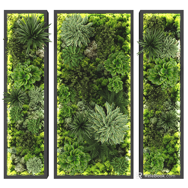 Lush Living Wall With Various Green Plants And Diverse Foliage For Indoor Design 3d model 