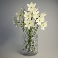 Transparent Textured Vase With White Star Shaped Flowers On Simple Grey Background