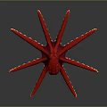 Vibrant Red Starfish With Long Yellow Tipped Arms On Dark Background