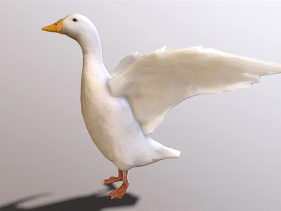 The Modern Duck 3d model