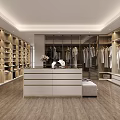 Modern Closet With Glass Doors And Handbags
