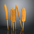 Multiple Fresh Shiny Yellow Plump Wheat Ears On Dark Background