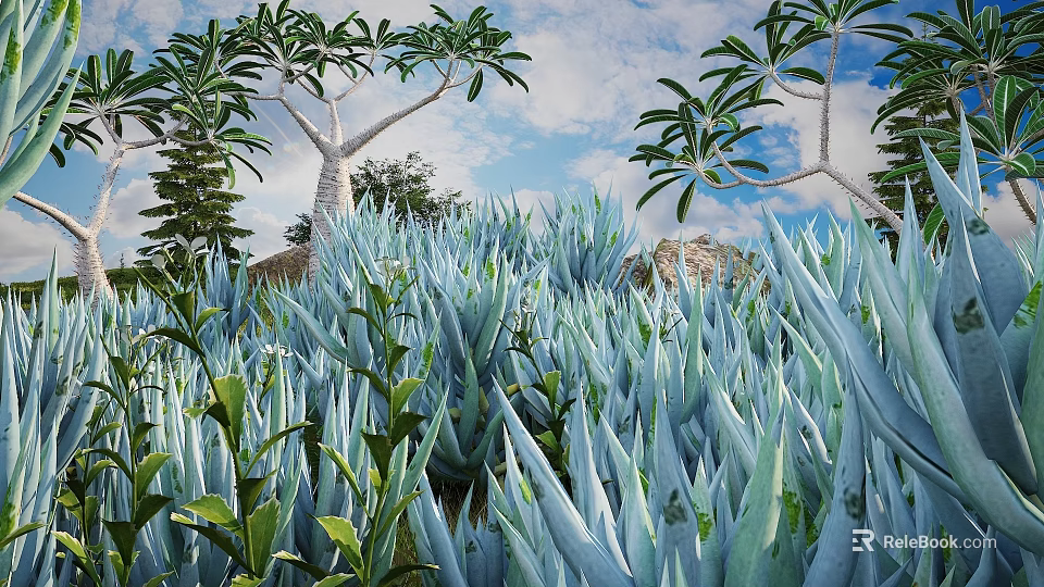 Lush Blue Succulent Plants Surrounded by Tall Trees With Blue Sky and White Clouds 3d model 