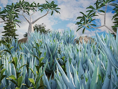 Lush Blue Succulent Plants Surrounded by Tall Trees With Blue Sky and White Clouds 3d model