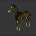 Brown Horse with White Face and Legs Standing on Dark Background Showing Clear Reflection