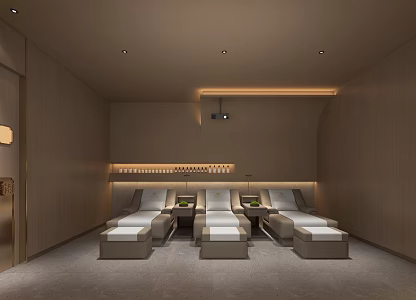 Reflexology Spa 3d model