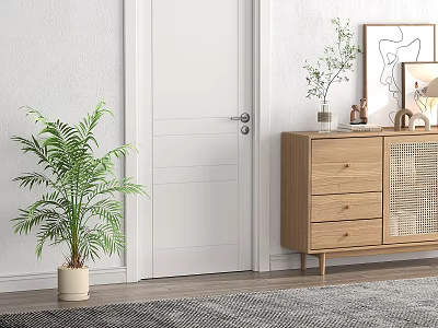 Green Potted Plant in White Pot Next to Door on Gray Rug with Wooden Cabinet 3d model
