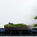 Courtyard Garden Design With Boat Shaped Moss Planter Water Feature Stone Accents And Greenery