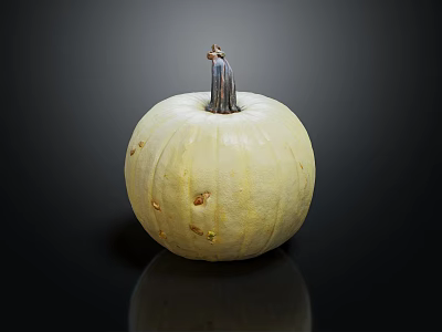 Modern Pumpkin Cartoon Pumpkin 3d model