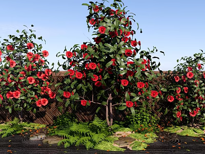 Vibrant Shrub With Red Flowers And Green Leaves In Garden Landscape 3d model
