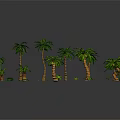 Various Sizes And Types Of Palm Trees With Small Green Plants Arrangement