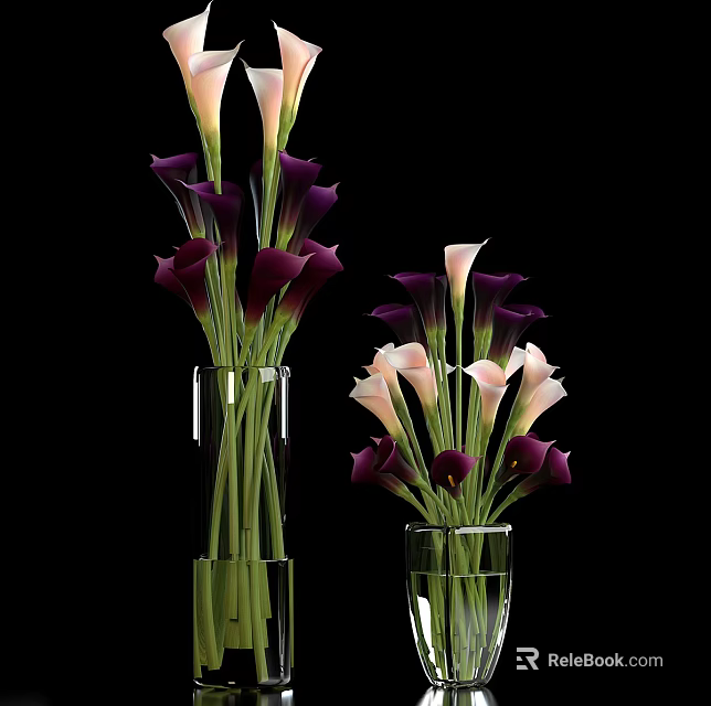 Transparent Glass Vases With White And Dark Purple Calla Lilies For Home Decor 3d model 