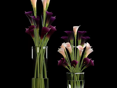Transparent Glass Vases With White And Dark Purple Calla Lilies For Home Decor 3d model