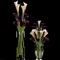 Transparent Glass Vases With White And Dark Purple Calla Lilies For Home Decor