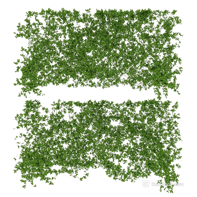 Lush Green Vines With Dense Leaves For Natural Fresh Background Decor 3d model 