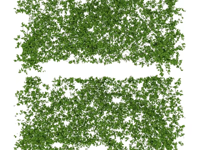 Lush Green Vines With Dense Leaves For Natural Fresh Background Decor 3d model