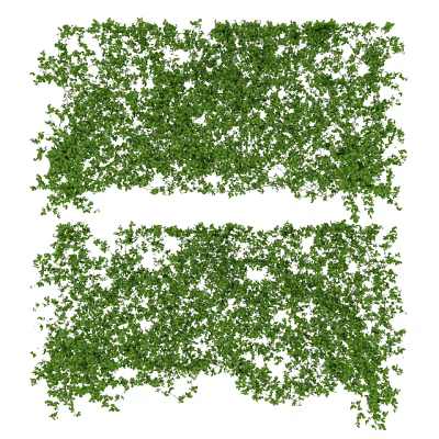 Lush Green Vines With Dense Leaves For Natural Fresh Background Decor 3d model