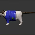 Adorable Gray And White Cat Wearing Blue Jacket With Green Emblem
