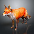 Red Fox Standing With Orange Fur Fluffy Tail And Detailed Texture Against Dark Background