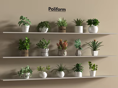 Various Potted Plants Arranged In Decorative Pots On Multiple Wall Shelves Indoor 3d model