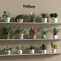 Various Potted Plants Arranged In Decorative Pots On Multiple Wall Shelves Indoor