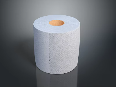 Absorbent Soft Textured Toilet Paper Roll For Daily Household Use 3d model