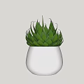 Decorative Bonsai Potted Plant in White Pot with Green Succulent Leaves