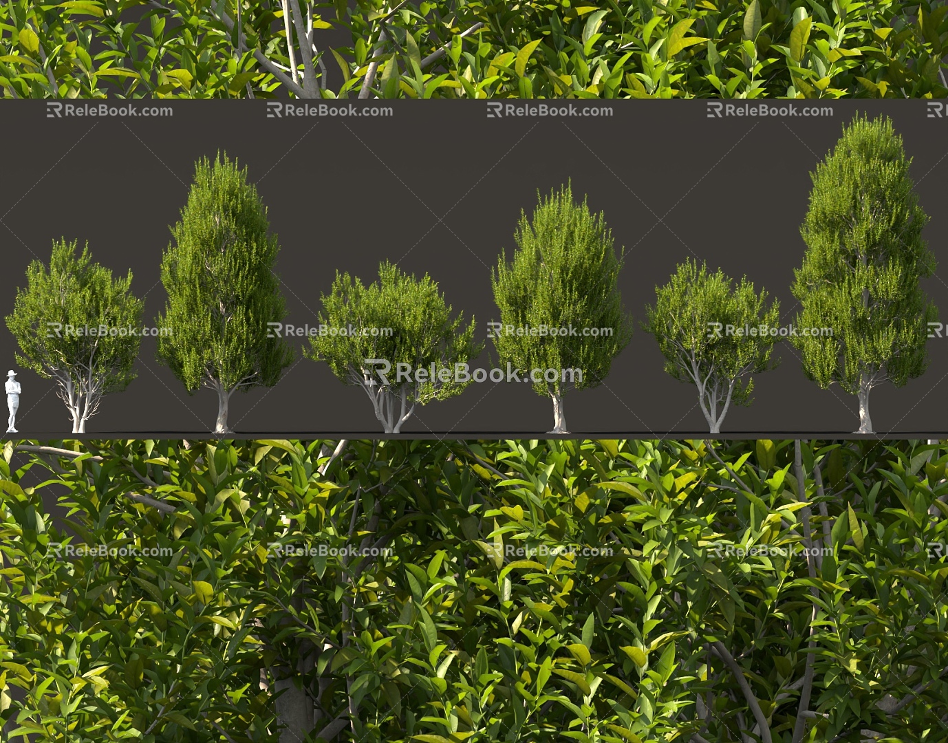 Ornamental Shrub Laurel Tea Tree Landscape Garden Street Tree Garden Tree Pond Splot Cluster Ornaments 3d model