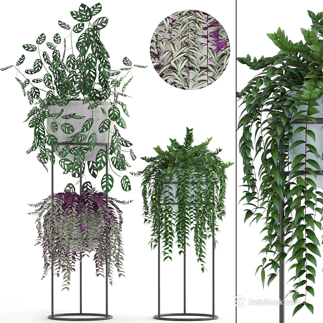 Hanging Potted Plants with Various Green Purple Leaves for Indoor Decoration 3d model 