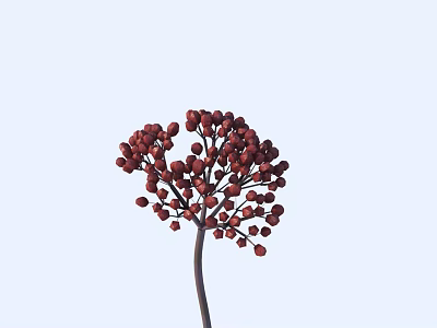 Beautiful Red Berry Plant With Slender Stem Against Light Blue Background 3d model