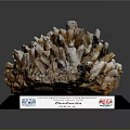 Natural Damburite Mineral Crystal Specimen Showcasing Texture On Labeled Display Base