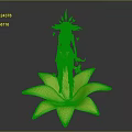 Female Character With Floral Headdress Standing On Large Purple Blue Gradient Flower With Falling Petals