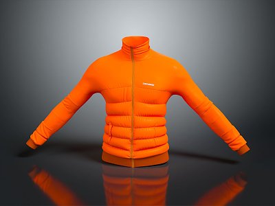 cotton-padded jacket down jacket goose down jacket thick clothes thick cotton-padded clothes autumn and winter clothing winter clothing autumn clothing 3d model