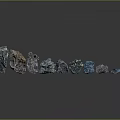 Natural Wooden And Stone Samples With Various Colors And Irregular Shapes Arrangement